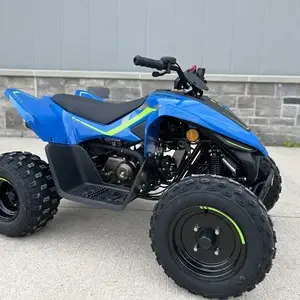 CFMOTO CFORCE 110 CLASSIC